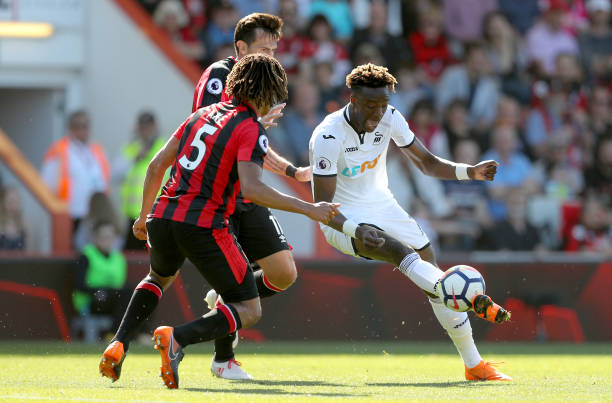 戴维的到来 戴维的到来