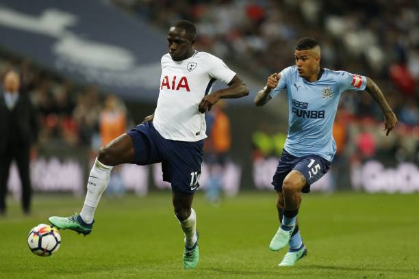 游泳健将在 游泳健将在