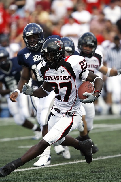 前嗅觉而闻 前嗅觉而闻